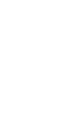 Root canals